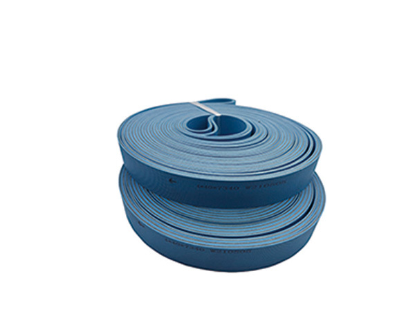 Double-sided blue ribbon